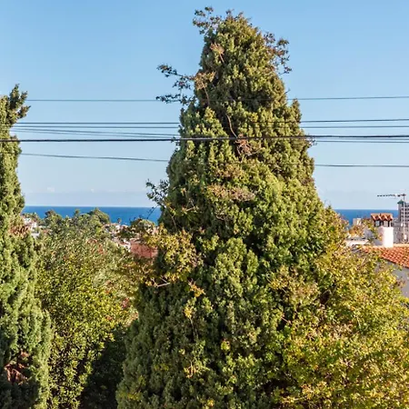 K9 Ortenbach Villa Ifach