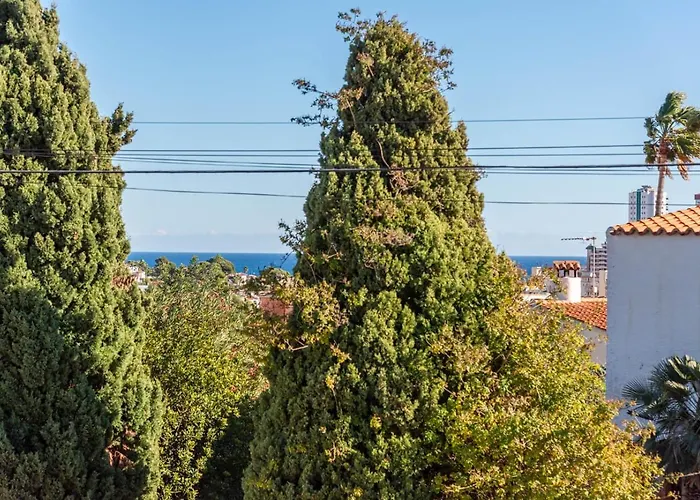 K9 Ortenbach Villa Ifach